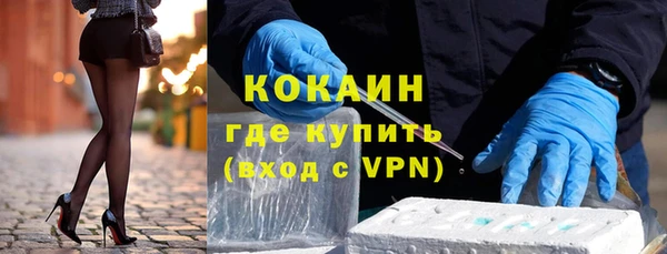 ПСИЛОЦИБИНОВЫЕ ГРИБЫ Михайлов