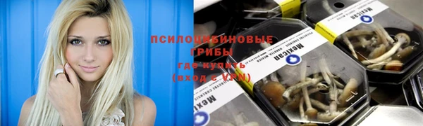 мескалин Михайловск