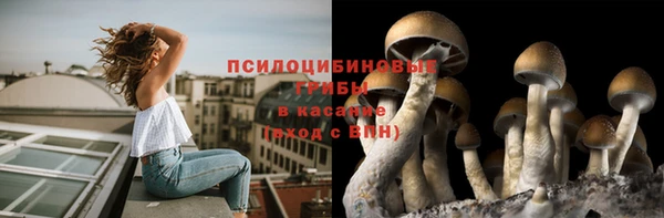 мескалин Михайловск