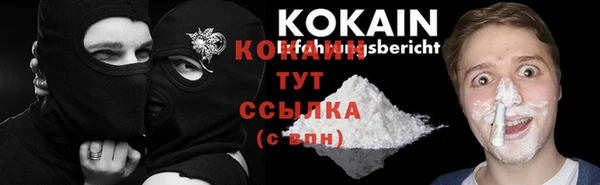 ПСИЛОЦИБИНОВЫЕ ГРИБЫ Михайлов