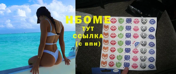 сатива Михайловка