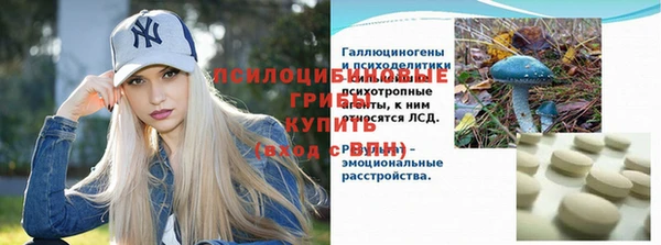 сатива Михайловка