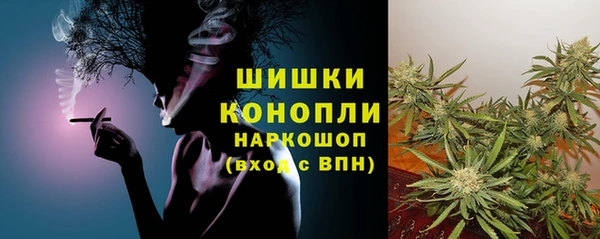 ПСИЛОЦИБИНОВЫЕ ГРИБЫ Михайлов