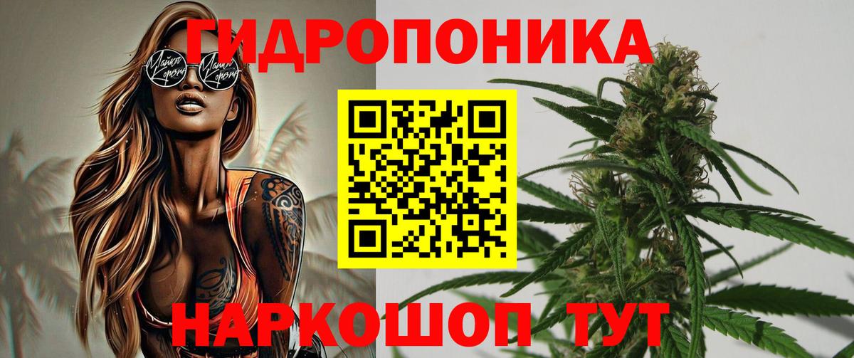 МАРИХУАНА LSD WEED  Омск  Конопля сатива  Каннабис конопля 